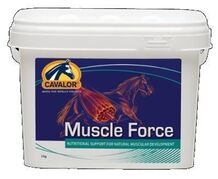 Muscle_force