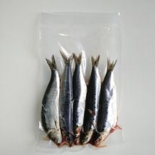 prebaits sardines groot 1095345459